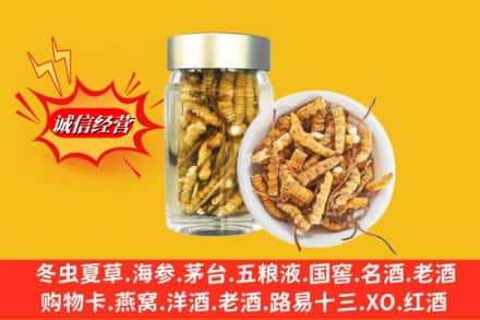赤峰宁城县回收散虫草
