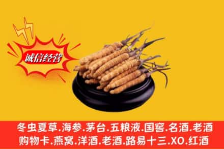 赤峰宁城县名酒回收冬虫夏草.jpg